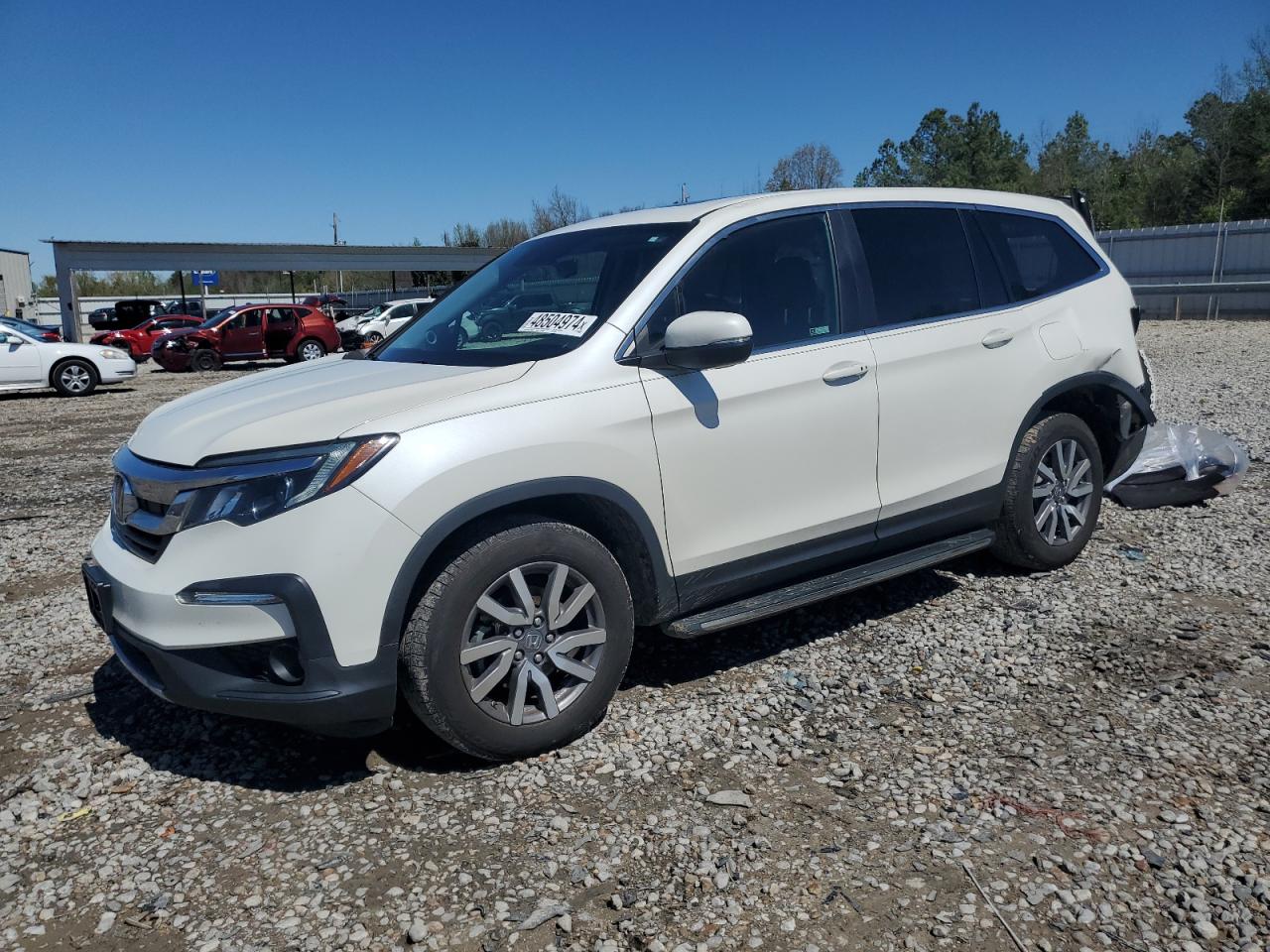 HONDA PILOT 2019 5fnyf5h55kb033918