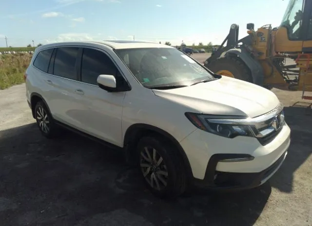 HONDA PILOT 2019 5fnyf5h56kb003200