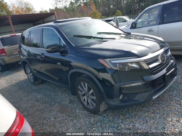 HONDA PILOT 2019 5fnyf5h57kb012617