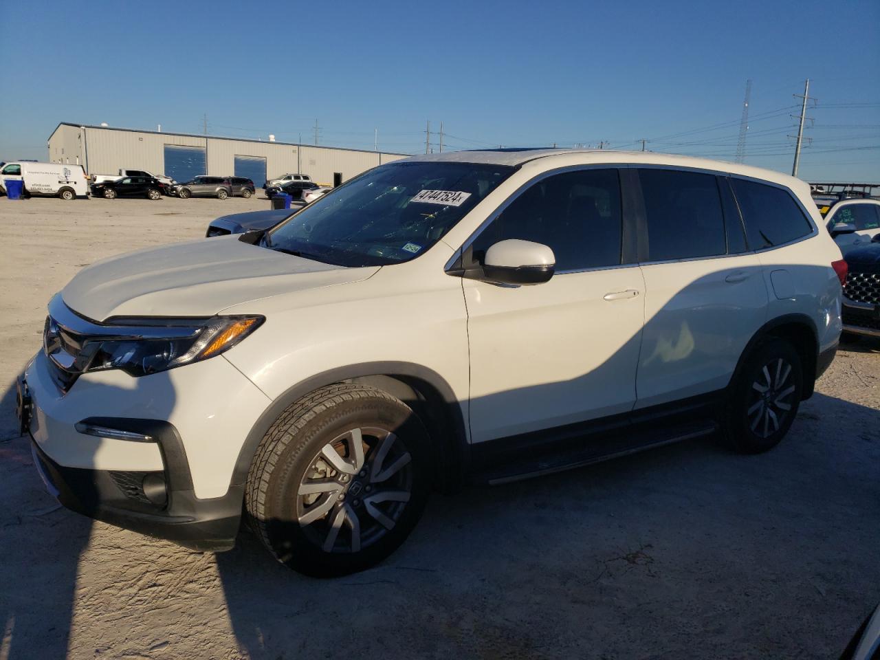 HONDA PILOT 2019 5fnyf5h59kb013025