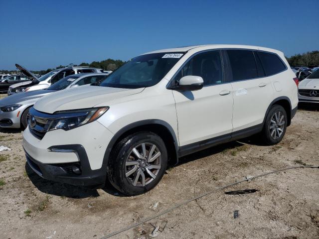 HONDA PILOT EXL 2019 5fnyf5h59kb022341