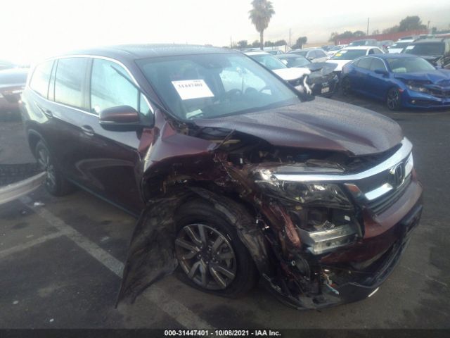 HONDA PILOT 2019 5fnyf5h59kb040662