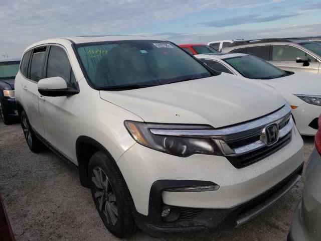 HONDA PILOT EXL 2019 5fnyf5h5xkb032490