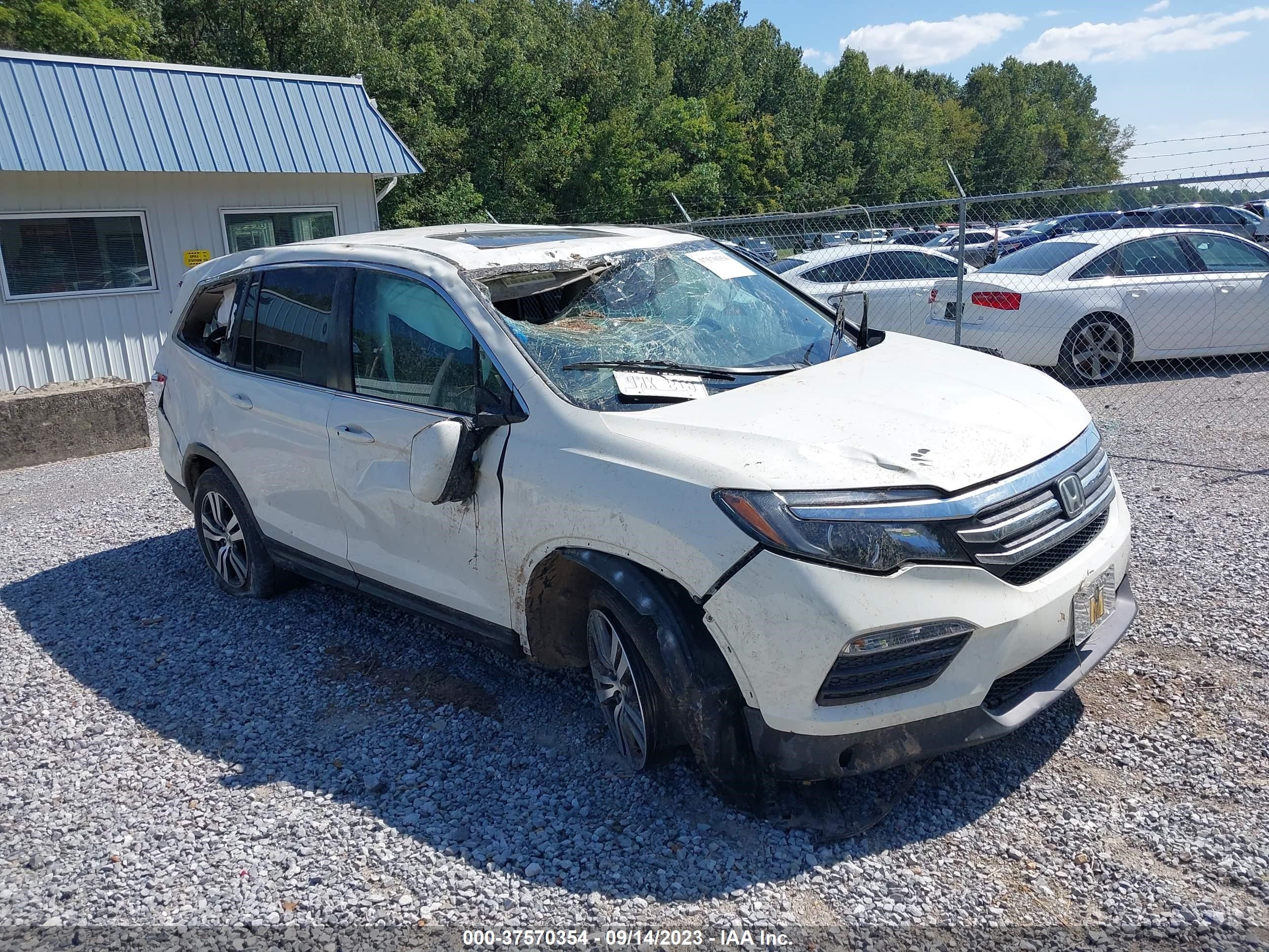 HONDA PILOT 2016 5fnyf5h62gb028577