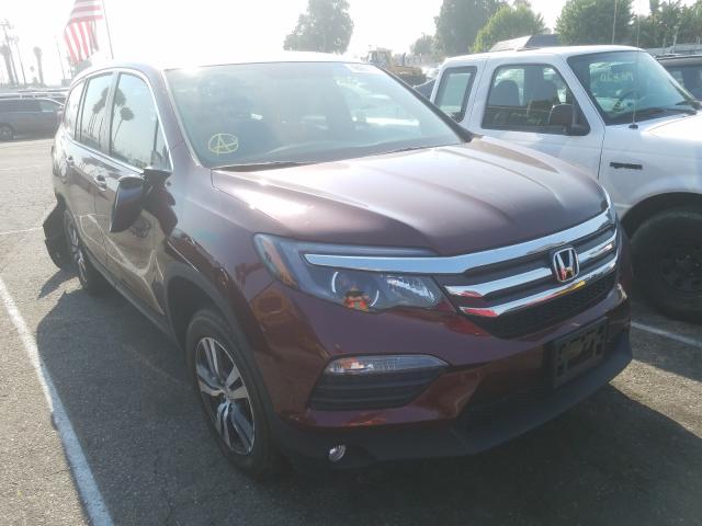 HONDA PILOT EXL 2018 5fnyf5h82jb022562