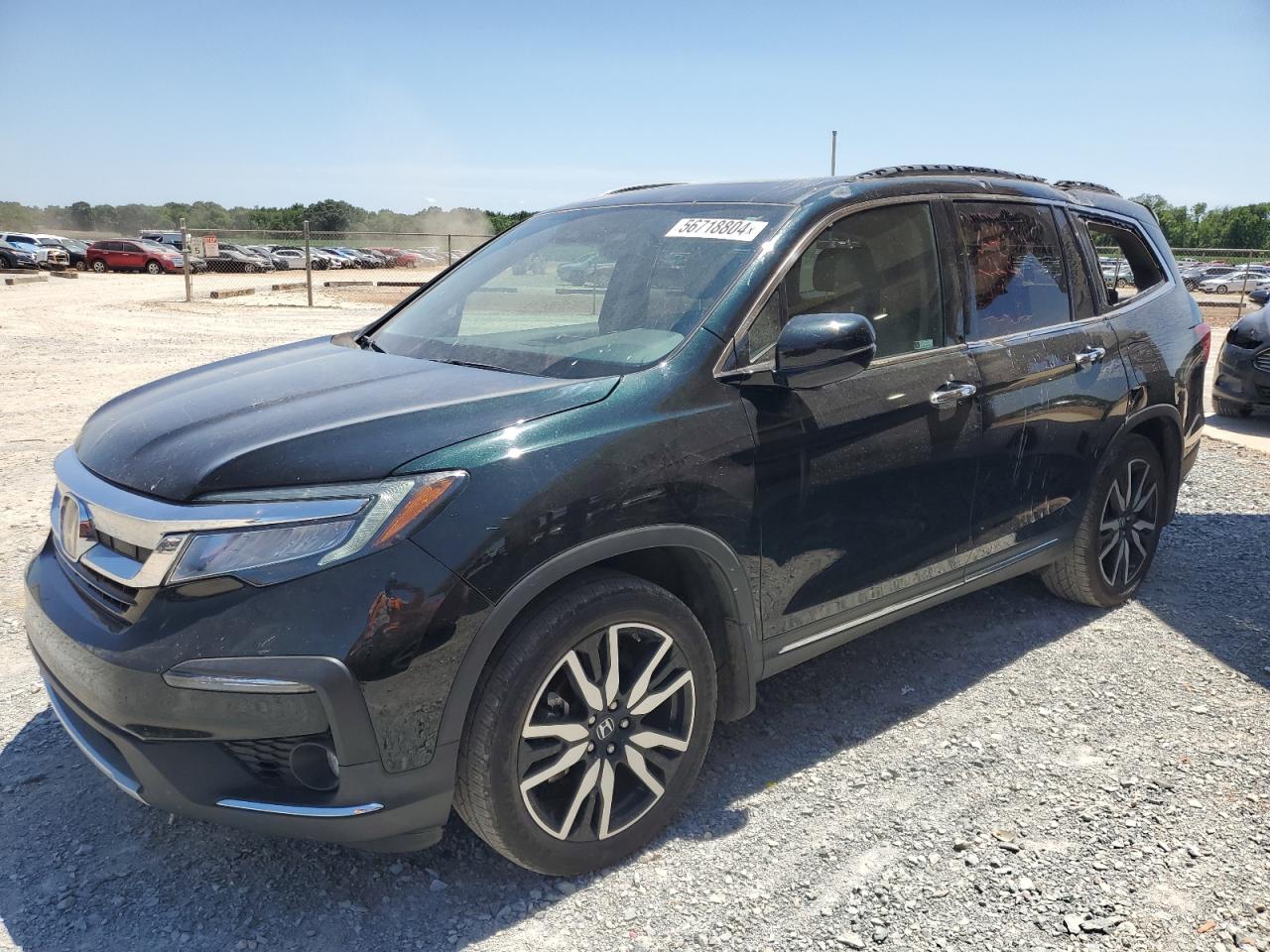 HONDA PILOT 2019 5fnyf6h02kb049732