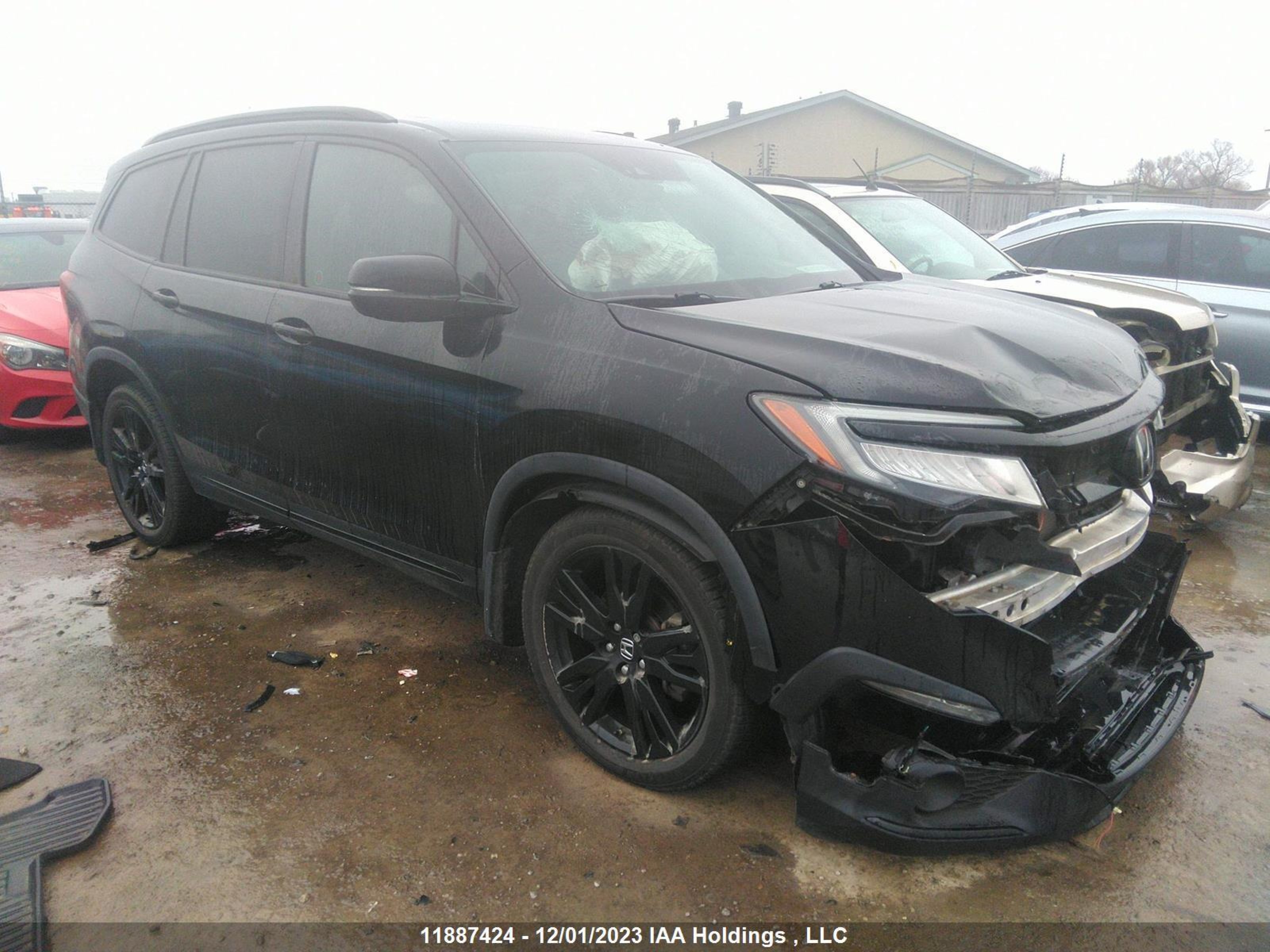 HONDA PILOT 2019 5fnyf6h02kb501534