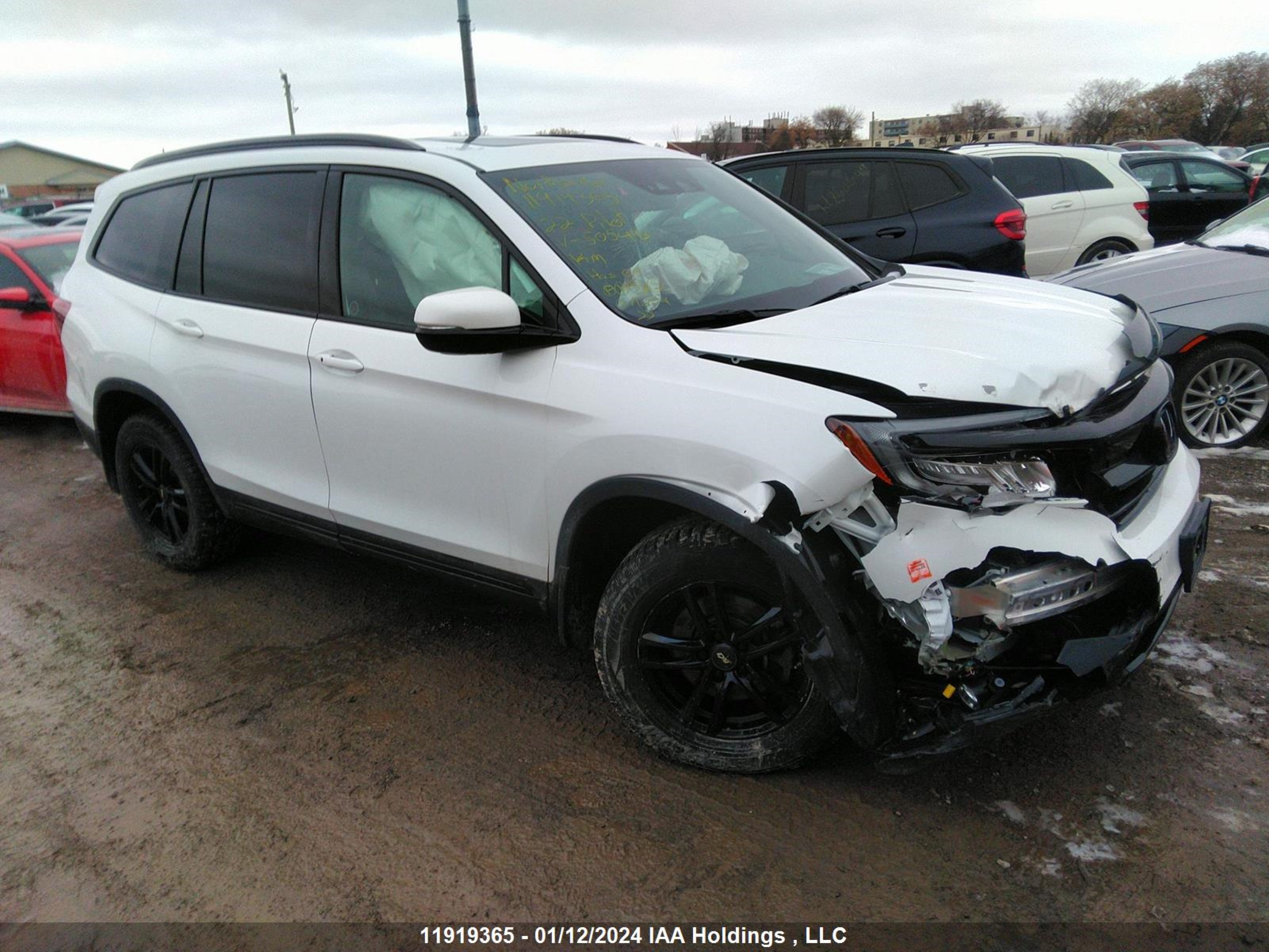 HONDA PILOT 2022 5fnyf6h06nb505493