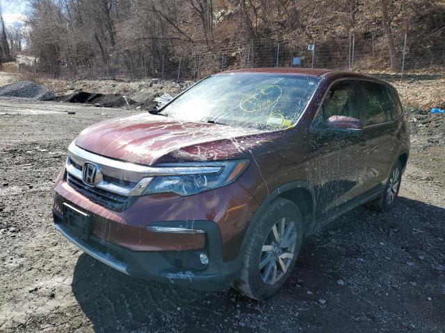 HONDA PILOT EX 2019 5fnyf6h34kb027953