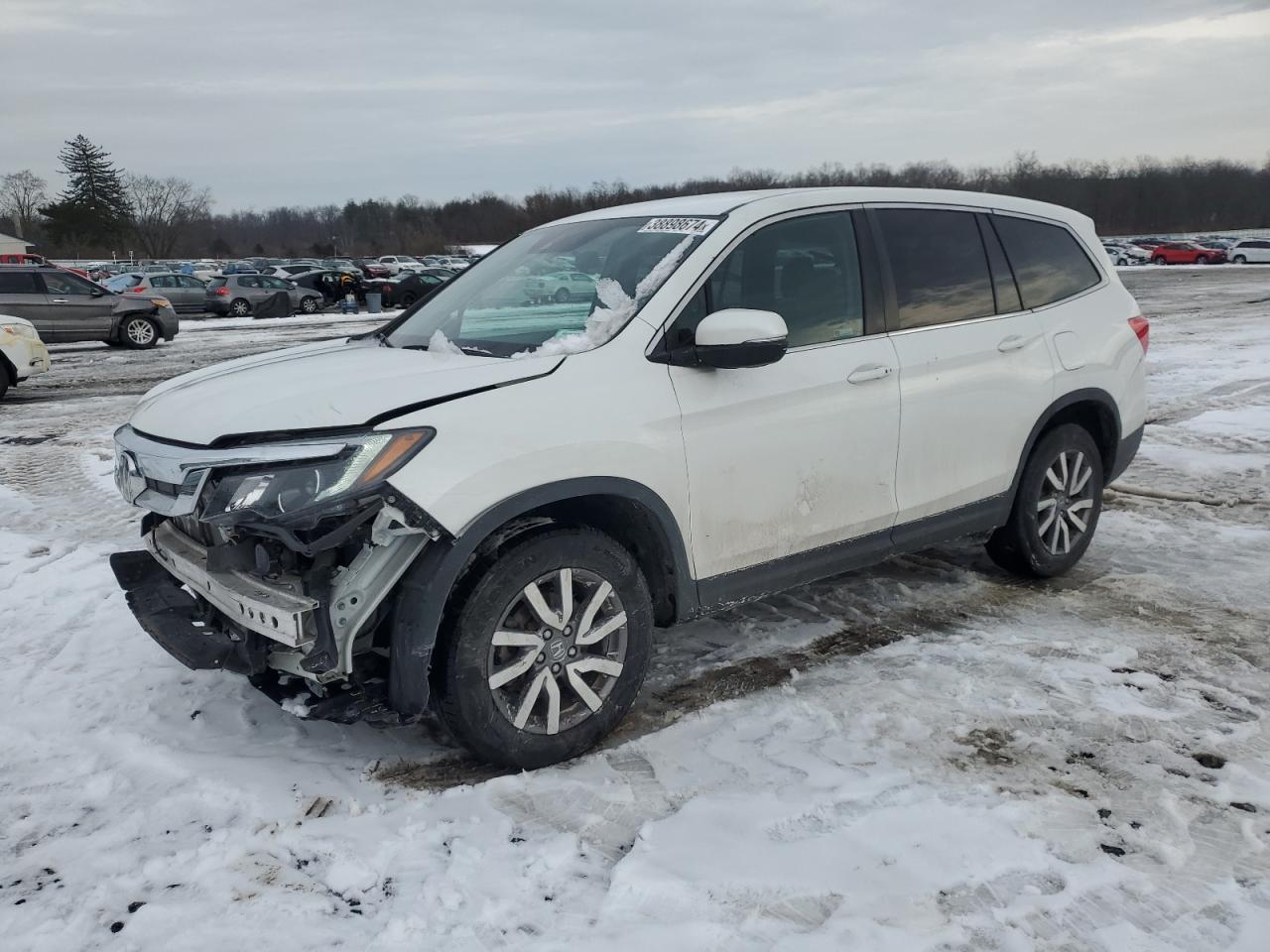 HONDA PILOT 2021 5fnyf6h37mb029490