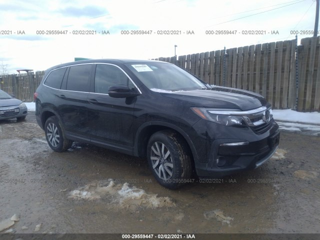 HONDA PILOT 2019 5fnyf6h39kb088814