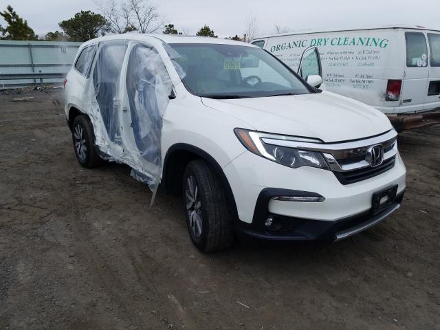 HONDA PILOT EXL 2019 5fnyf6h44kb040775