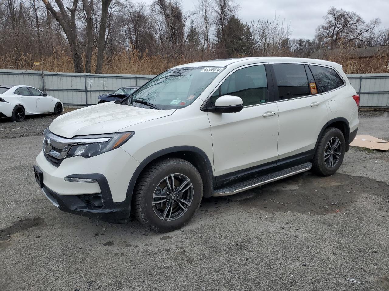 HONDA PILOT 2019 5fnyf6h50kb055329