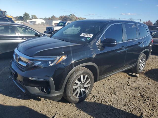 HONDA PILOT EXL 2019 5fnyf6h51kb061530