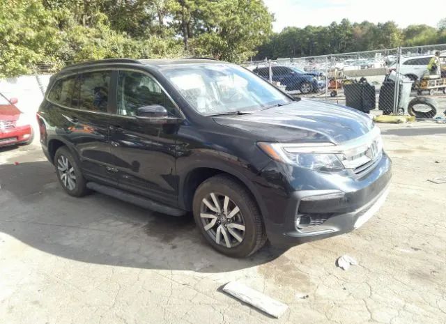 HONDA PILOT 2019 5fnyf6h51kb075556