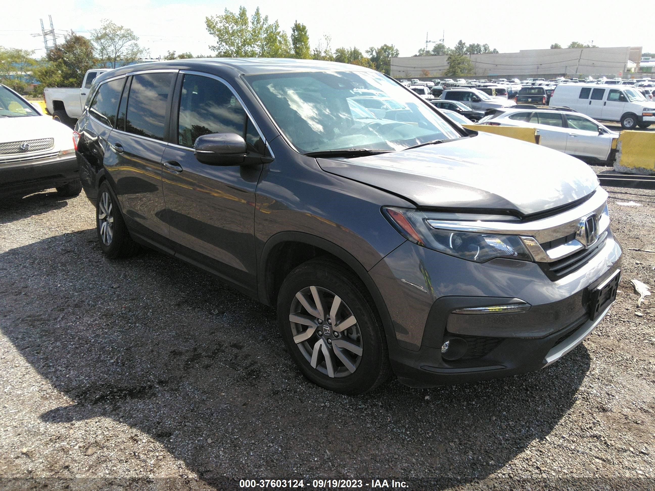 HONDA PILOT 2021 5fnyf6h51mb021189