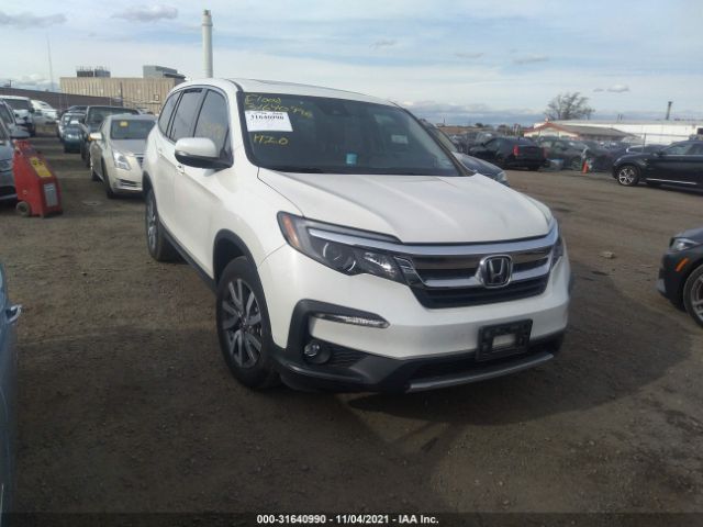 HONDA PILOT 2019 5fnyf6h54kb022818