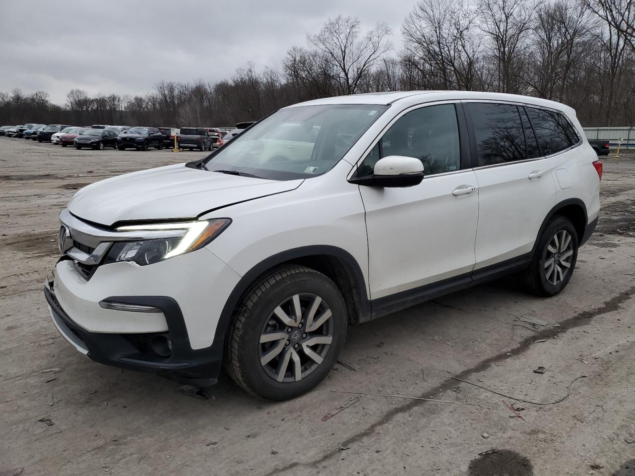 HONDA PILOT 2021 5fnyf6h54mb039430