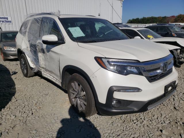 HONDA PILOT EXL 2019 5fnyf6h55kb031818