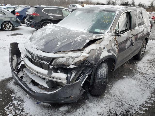 HONDA PILOT 2019 5fnyf6h56kb013943