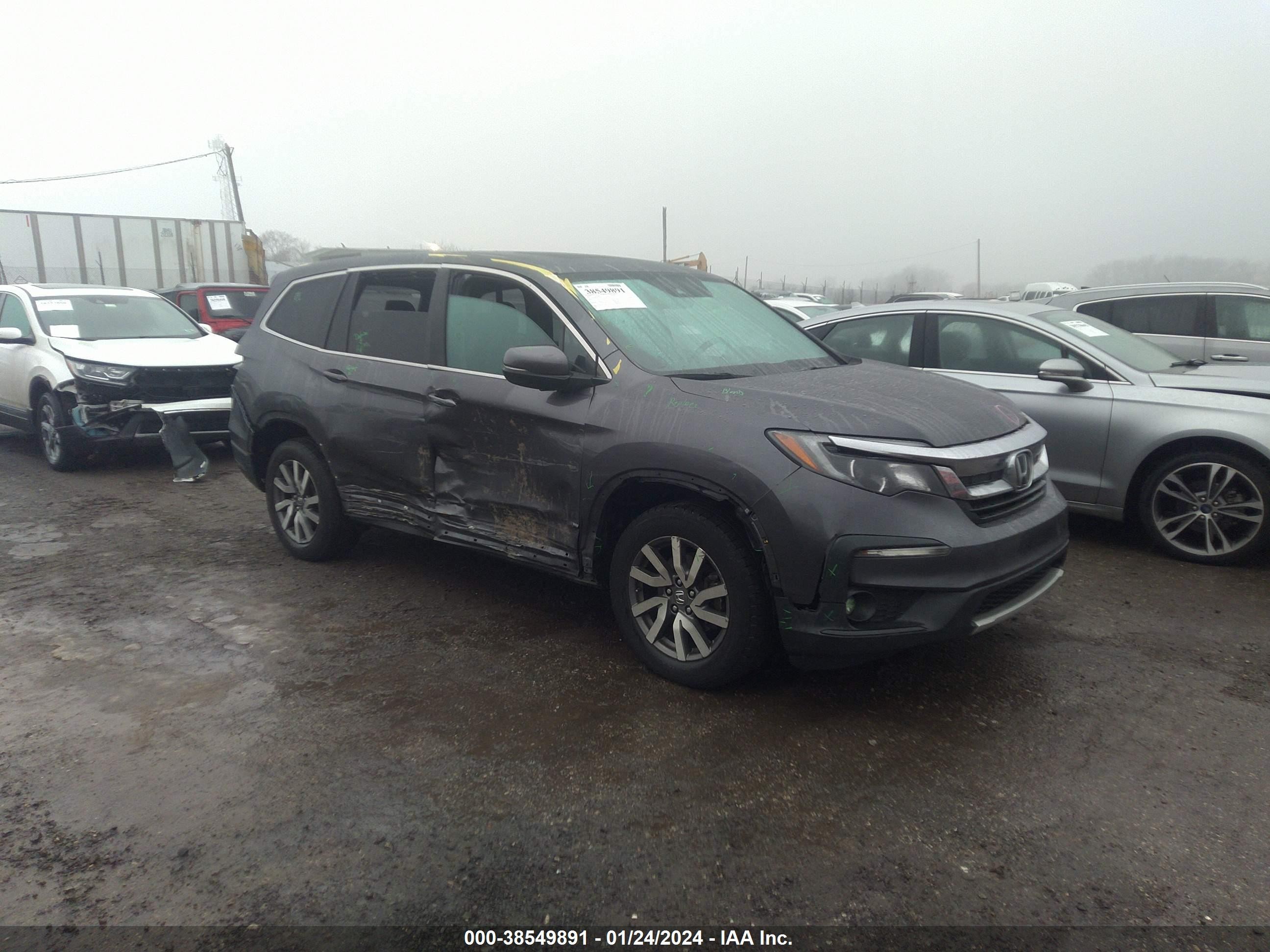 HONDA PILOT 2019 5fnyf6h56kb076590