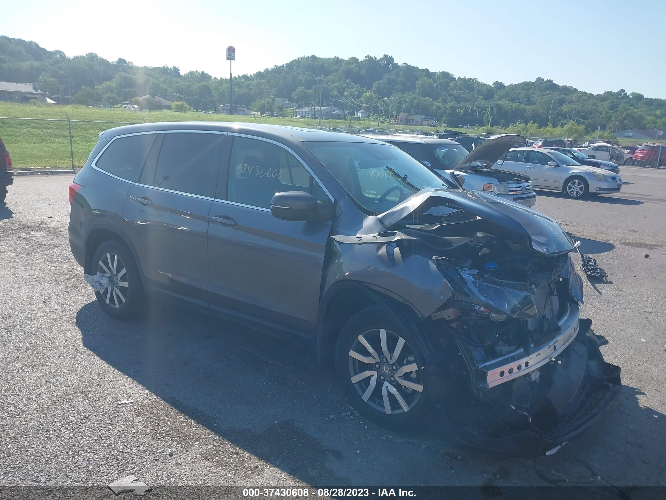 HONDA PILOT 2022 5fnyf6h56nb023506