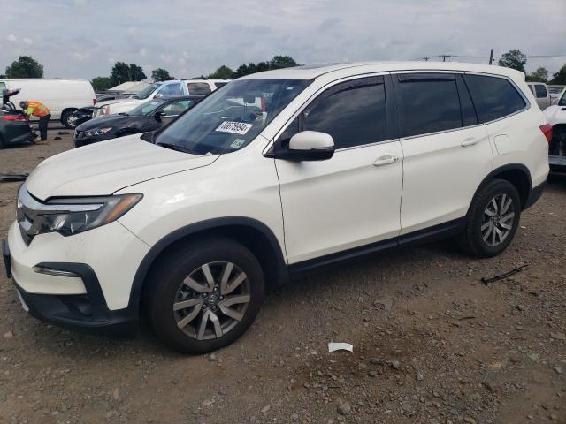 HONDA PILOT EXL 2019 5fnyf6h57kb076789