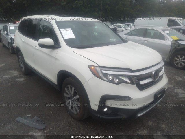 HONDA PILOT 2019 5fnyf6h59kb059136