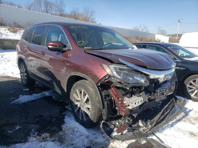 HONDA PILOT EXL 2019 5fnyf6h59kb071240