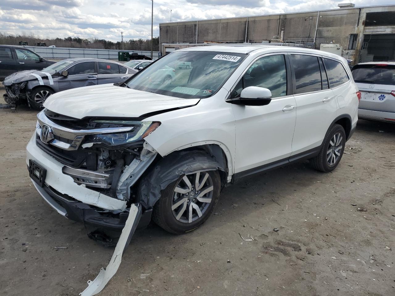 HONDA PILOT 2019 5fnyf6h59kb072677