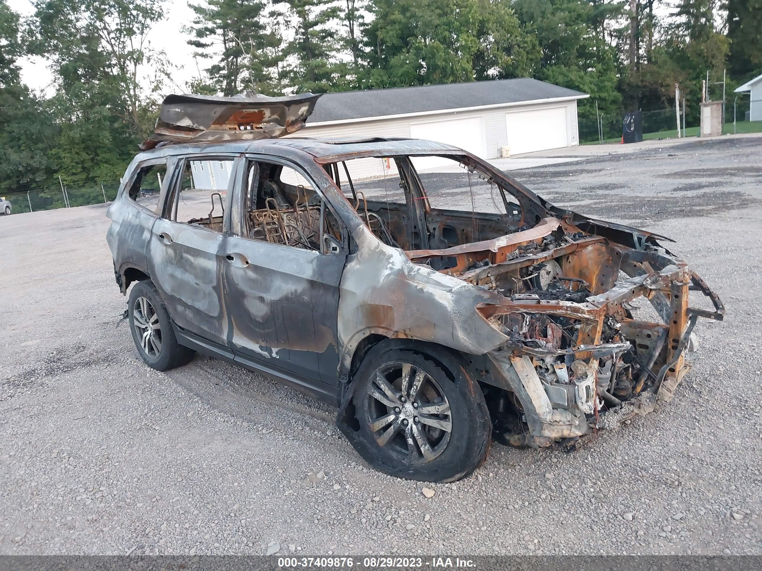 HONDA PILOT 2018 5fnyf6h5xjb062173