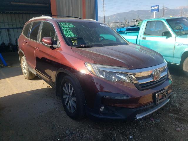 HONDA PILOT EXL 2019 5fnyf6h5xkb059694