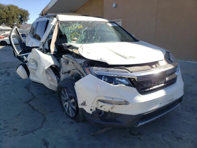 HONDA PILOT EXL 2019 5fnyf6h5xkb077371