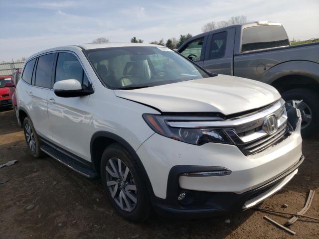 HONDA PILOT EXL 2019 5fnyf6h5xkb085891