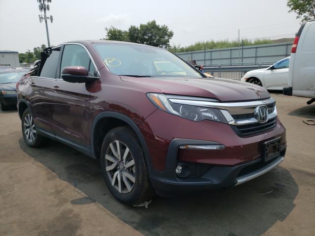 HONDA PILOT EXL 2021 5fnyf6h5xmb041179