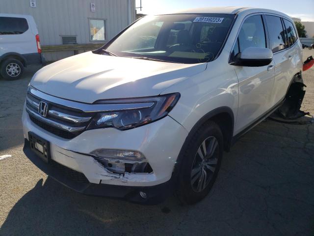 HONDA PILOT EXLN 2018 5fnyf6h73jb059102