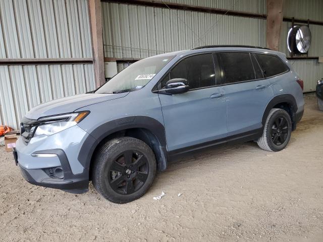 HONDA PILOT TRAI 2022 5fnyf6h80nb053532