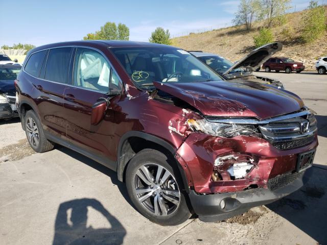 HONDA PILOT EXL 2018 5fnyf6h82jb033616