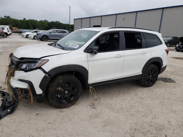 HONDA PILOT TRAI 2022 5fnyf6h88nb090649