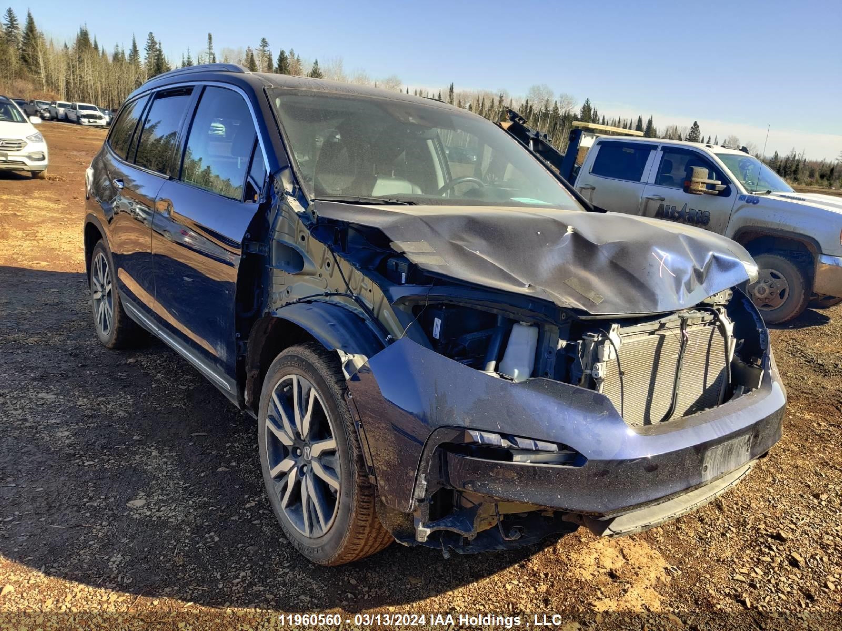 HONDA PILOT 2019 5fnyf6h91kb508232