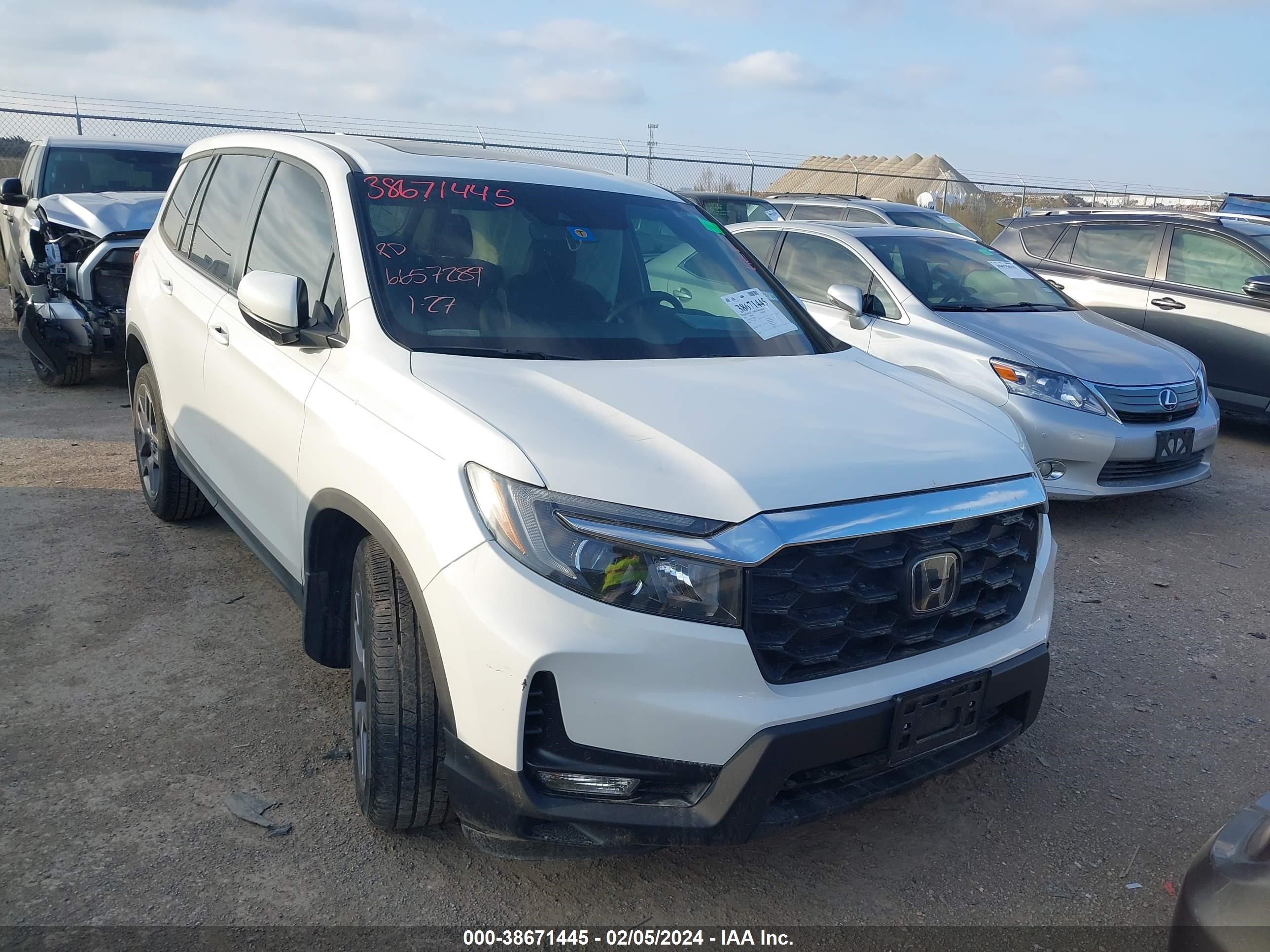 HONDA PASSPORT 2022 5fnyf7h55nb001714