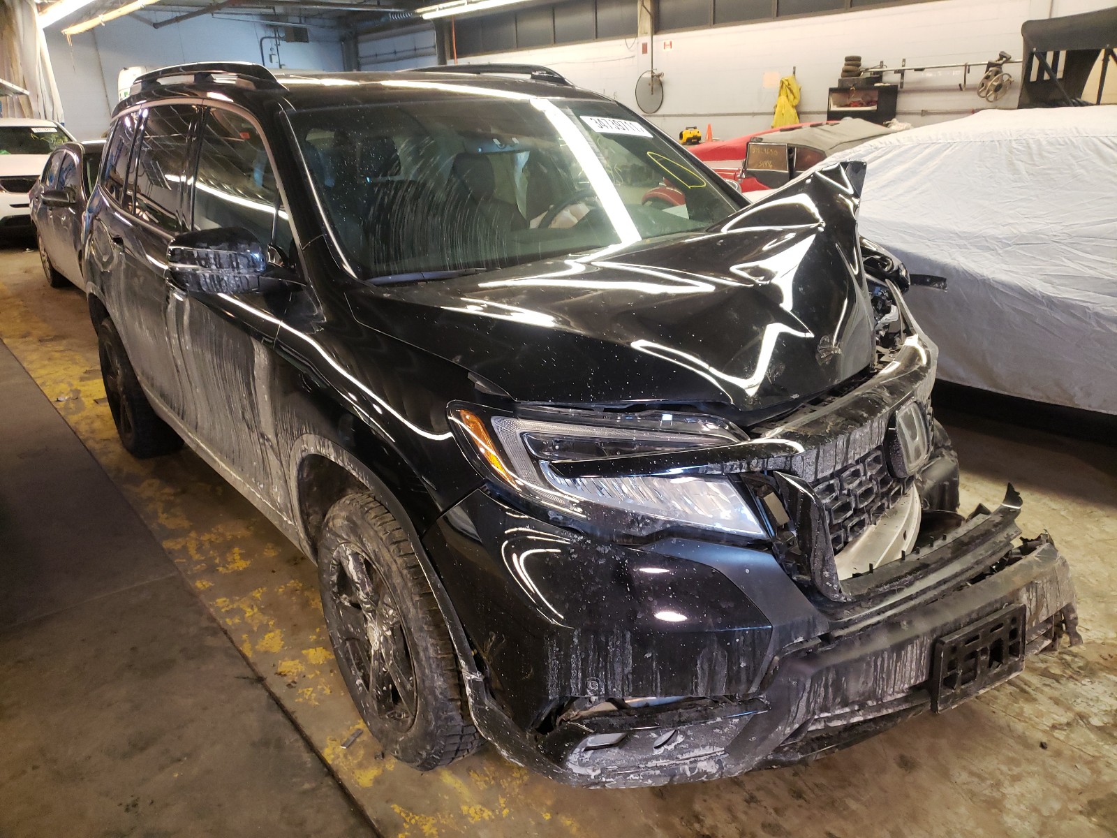 HONDA PASSPORT E 2019 5fnyf8h03kb022020