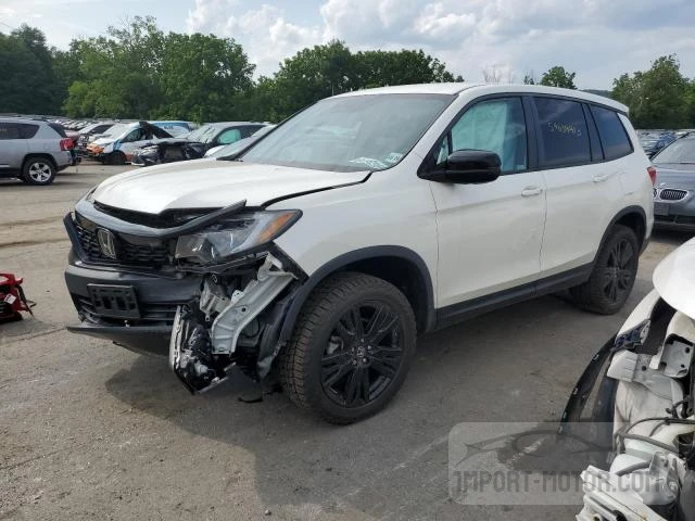 HONDA PASSPORT 2019 5fnyf8h2xkb016121