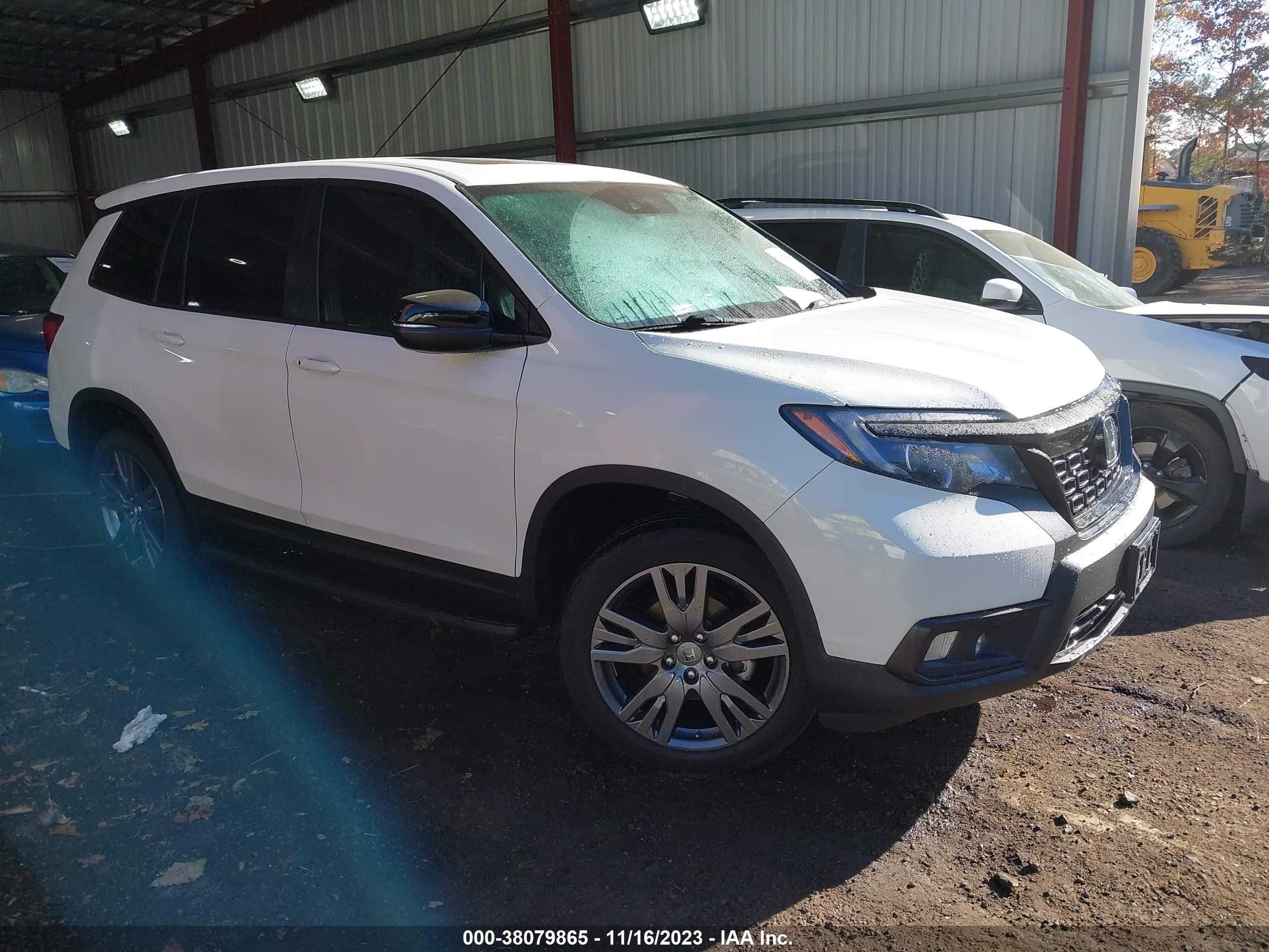 HONDA PASSPORT 2021 5fnyf8h51mb042894