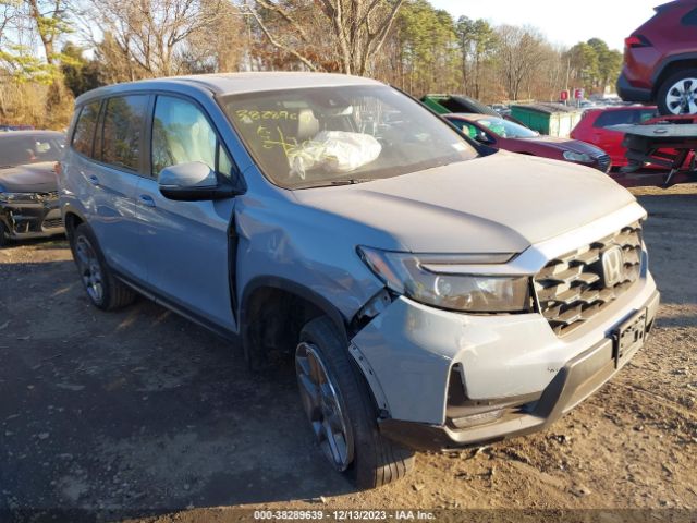 HONDA PASSPORT 2022 5fnyf8h56nb007379