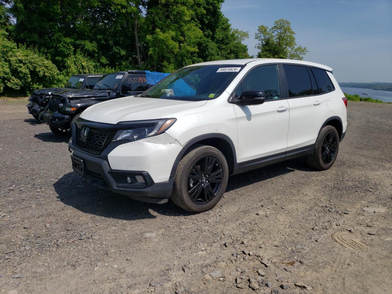 HONDA PASSPORT 2020 5fnyf8h58lb009325