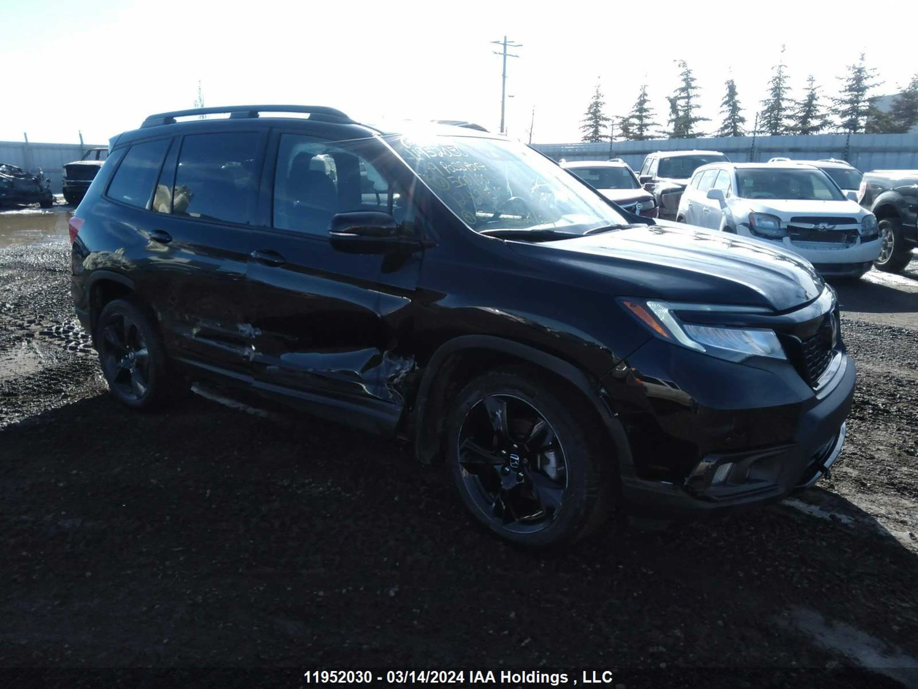 HONDA PASSPORT 2019 5fnyf8h95kb500100