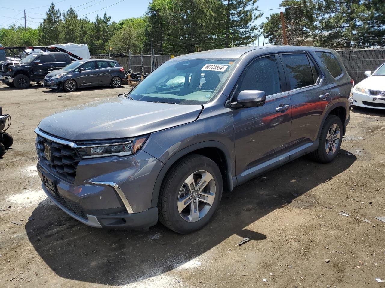 HONDA PILOT 2024 5fnyg1h42rb014962