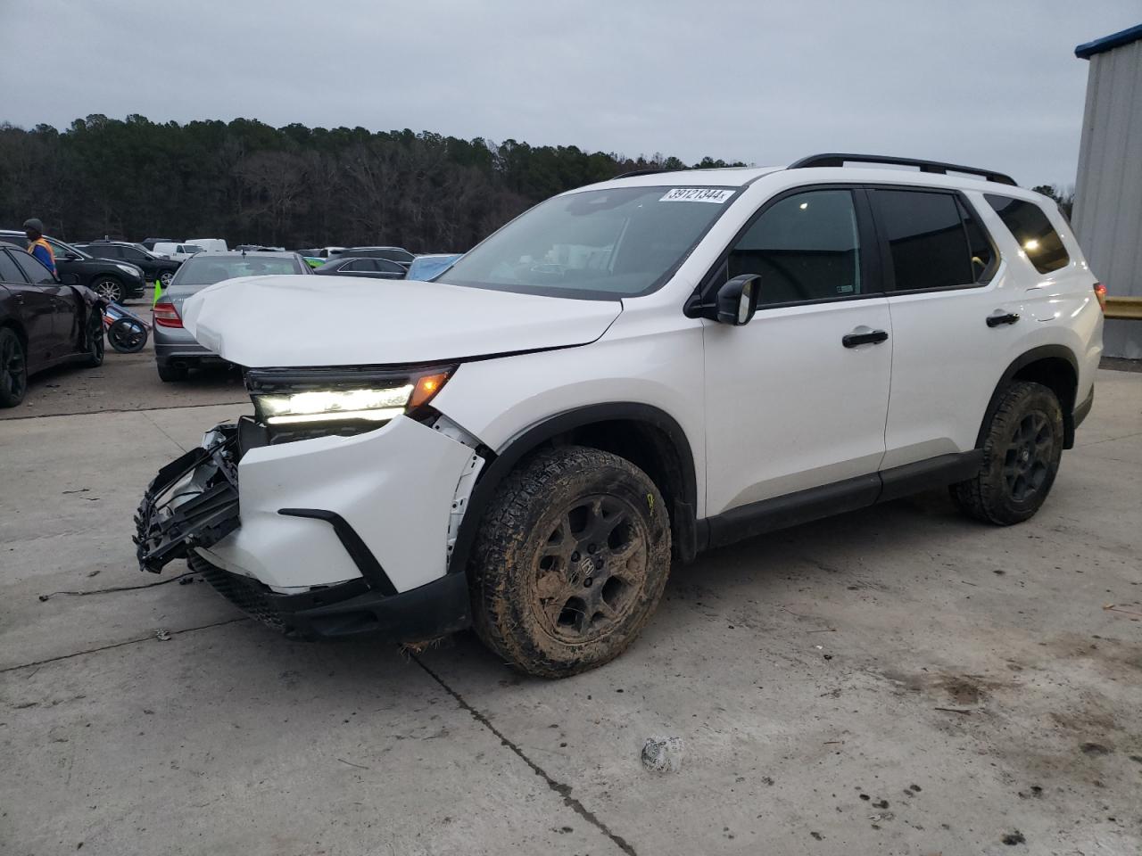 HONDA PILOT 2023 5fnyg1h62pb034238