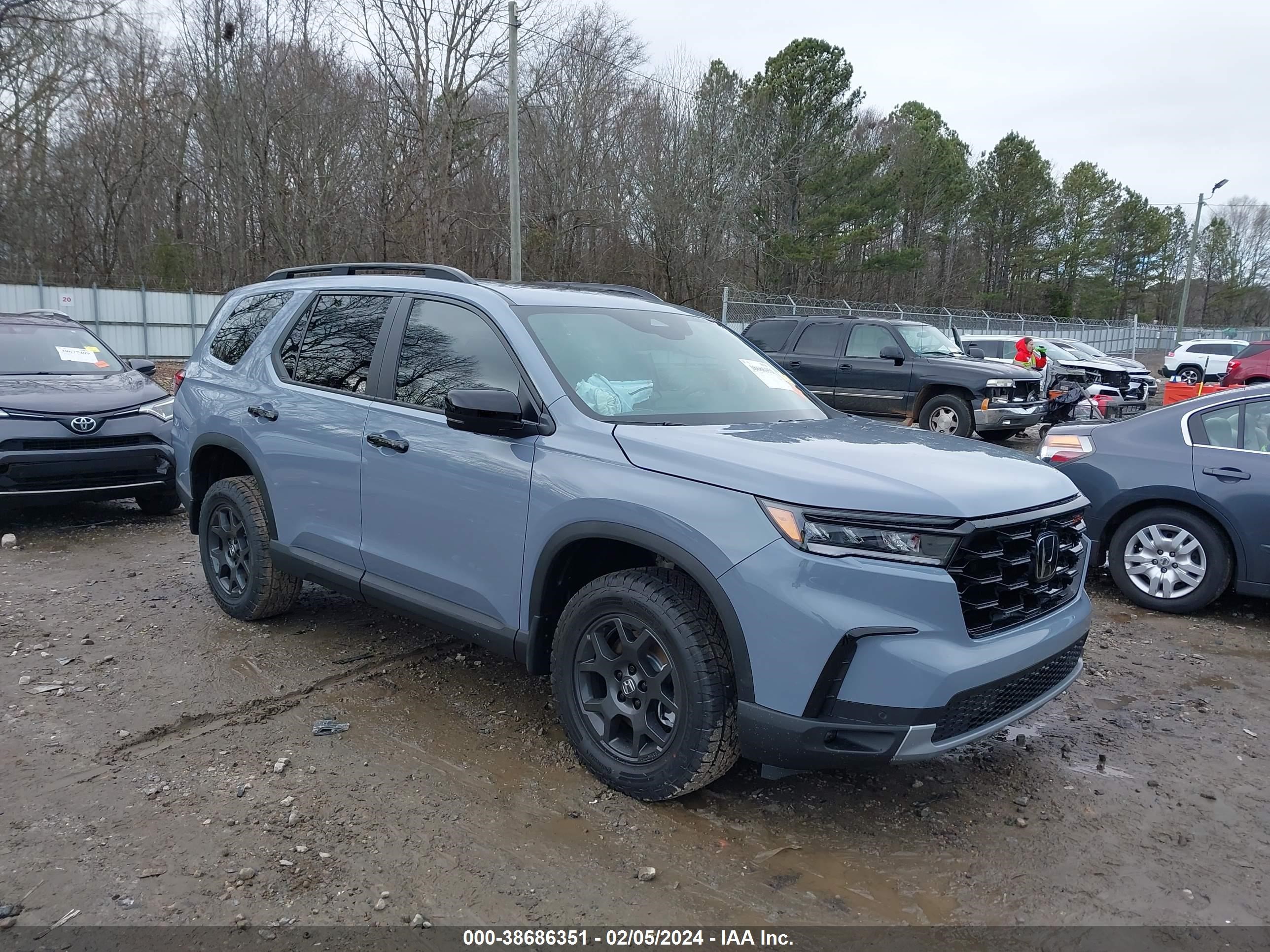 HONDA PILOT 2024 5fnyg1h66rb028509